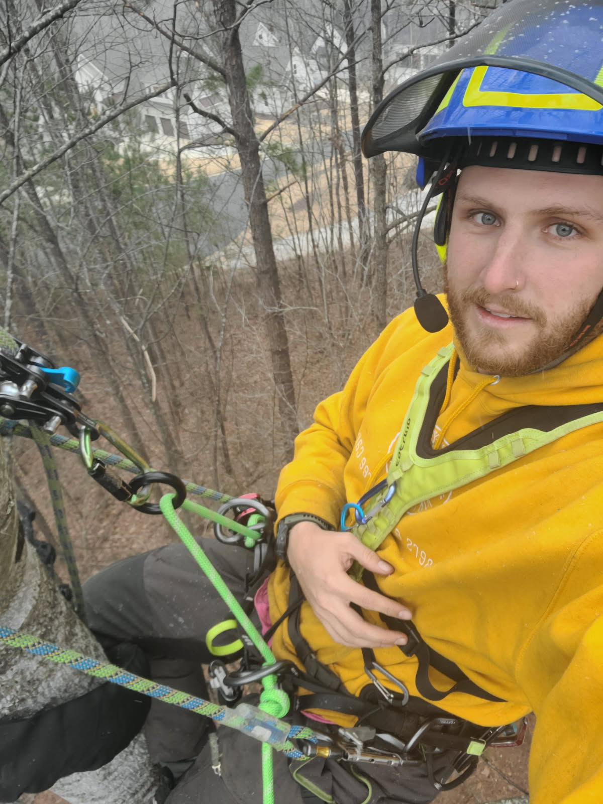 Benjamin Conner climbing a tree in arborist gear