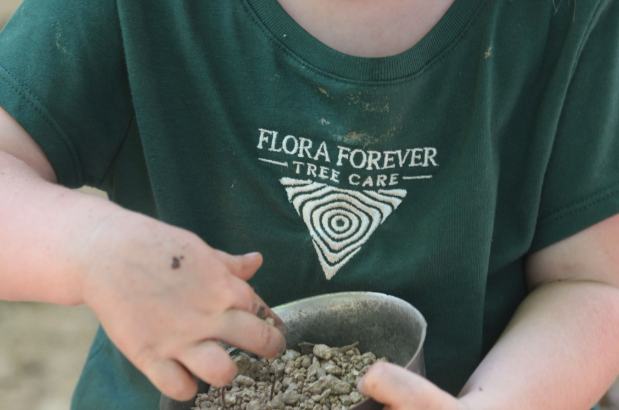 Flora Forever arborist field work