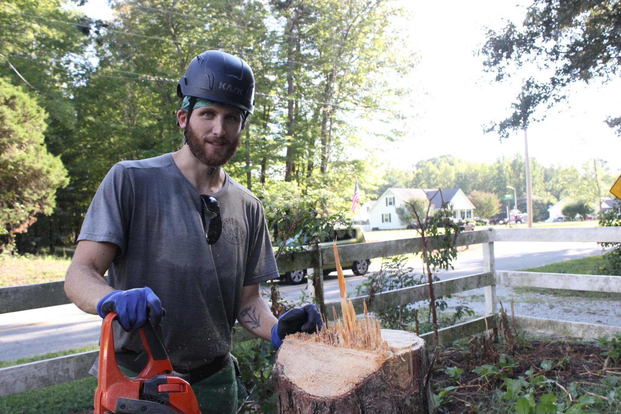 Arborist beside a freshly cut tree stump during removal work